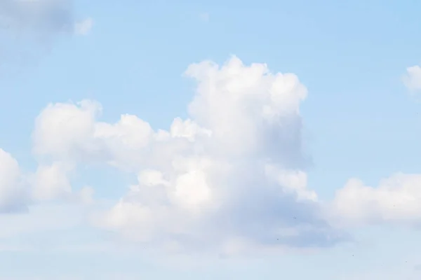 Cumulus clouds are dense, with bright white clouds during the day with significant vertical development. White clouds in the blue sky.