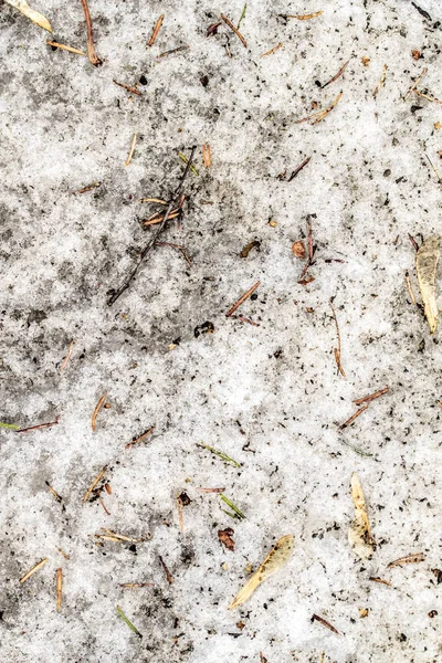 Schmutziger Schnee Wald Als Hintergrund — Stockfoto