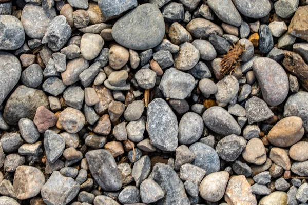 Sea Pebbles Background — Stock Photo, Image