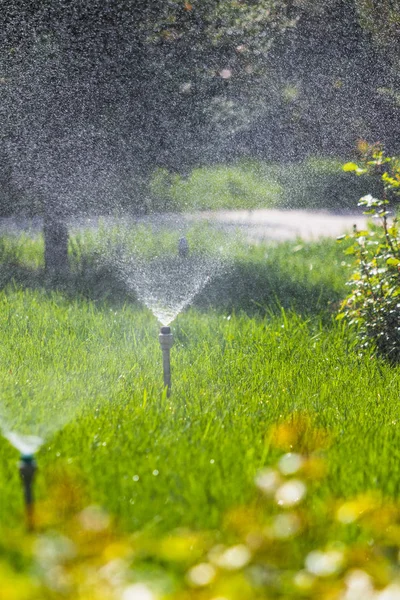 ボケ背景と緑の芝生に散水灌漑システム — ストック写真