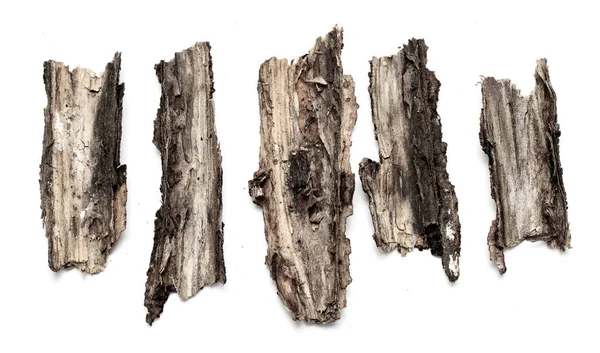 白い背景に木の樹皮の樹皮 — ストック写真