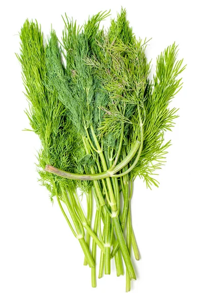 Dill Laitue Fraîche Branches Vertes Aneth Isolées Sur Fond Blanc — Photo