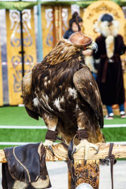 Kartal kuş şapkalı.