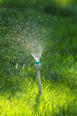 Sulama sistemi bokeh arka plan ile yeşil çim sulama.