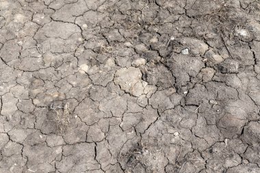 Kurutulmuş kırık toprak gri arka plan