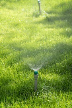 Sulama sistemi bokeh arka plan ile yeşil çim sulama.