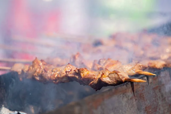 Шашлыки Еда Жареное Мясо Углях Дым Фокусе — стоковое фото