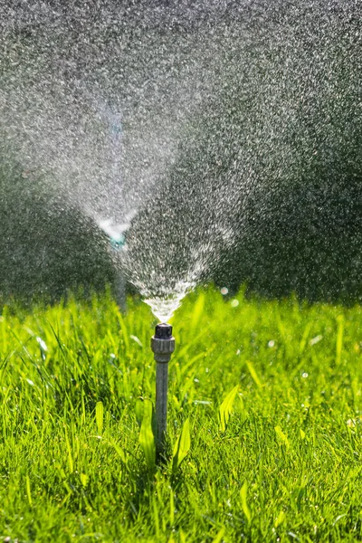 Système Irrigation Arrosage Herbe Verte Avec Fond Bokeh — Photo