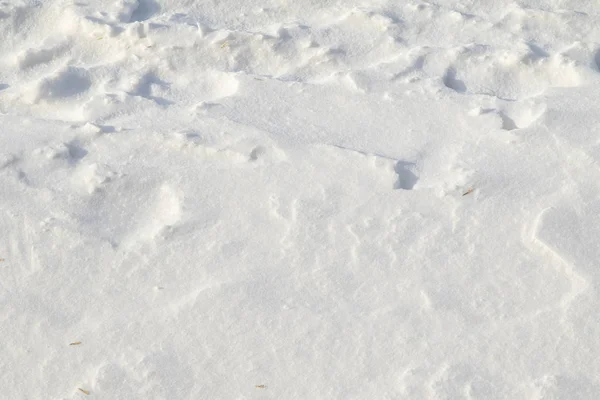 Snö Vinter Bakgrund Ovanifrån Snö Textur — Stockfoto