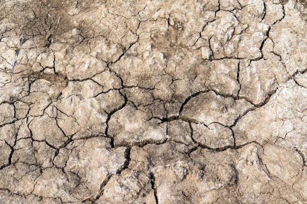 Grijze Achtergrond Van Gedroogde Gekraakte Aarde — Stockfoto