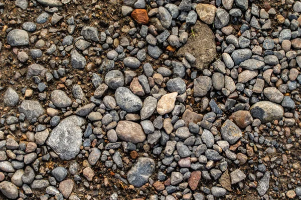 Ronde Zee Kiezels Achtergrond — Stockfoto