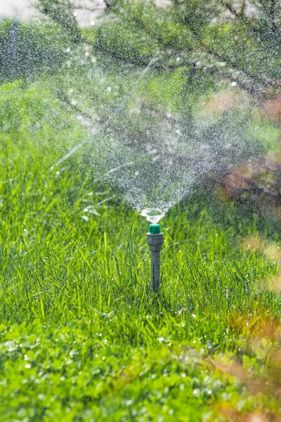 Système Irrigation Arrosage Herbe Verte Avec Fond Bokeh — Photo