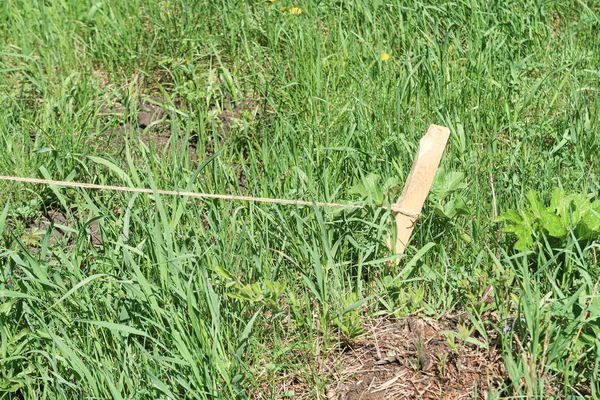 Wooden Stake Ground Rope Green Grass — Stock Photo, Image