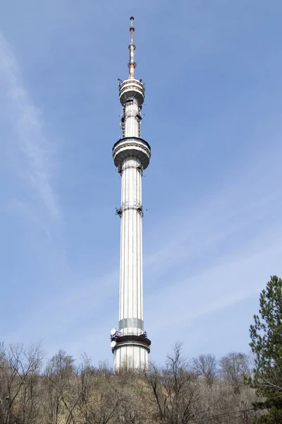 Grande Torre Contro Cielo Primavera Natura — Foto Stock