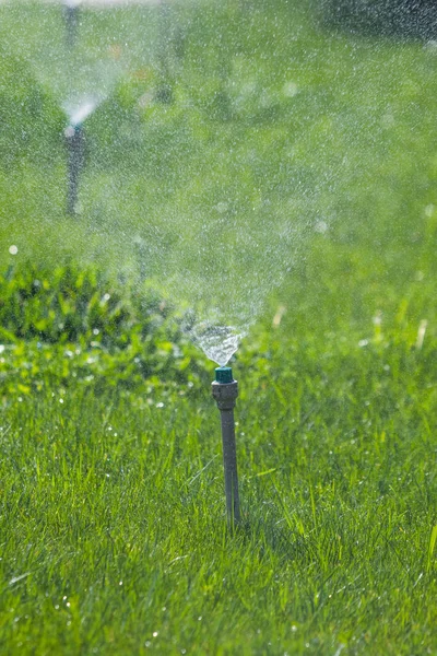 ボケ背景と緑の芝生に散水灌漑システム — ストック写真