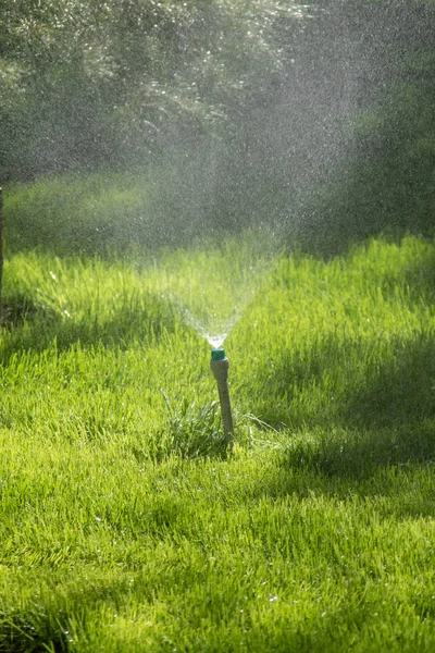 以博克为背景的灌溉系统浇灌绿草 — 图库照片