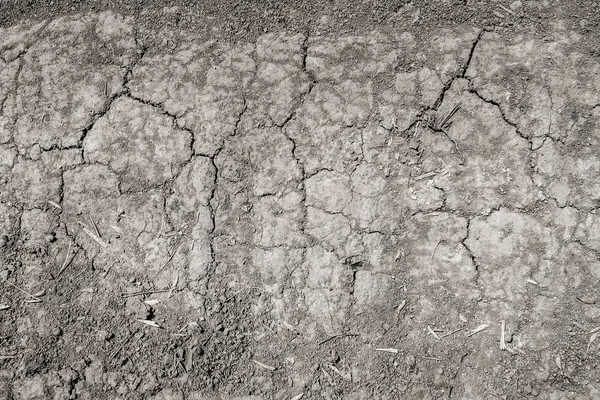 Pozadí Popraskané Země Textura Černé Země — Stock fotografie