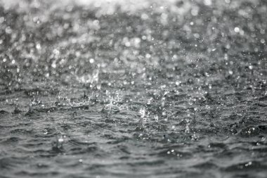 Bulanık arka plan ile arka planda sıçraması su büyük damla