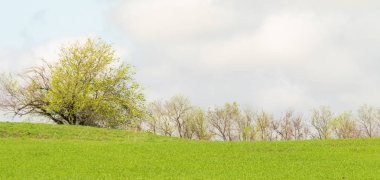 Manzara yeşil alan tepeler bulutlar ile gökyüzü