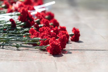 Kırmızı karanfil çiçekler büyük bir buket vardır.