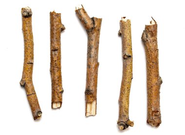 Beyaz arka planda yalıtılmış kuru dalları makro ağaçları. Bir dizi snags.