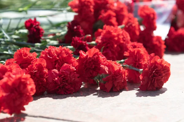 Fiori Garofano Rosso Sono Grande Bouquet — Foto Stock