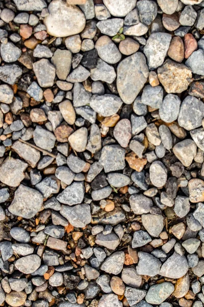 Sea Pebbles Background — Stock Photo, Image