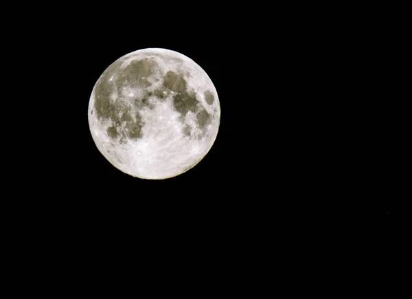 Grote Ronde Maan Zwarte Hemel — Stockfoto