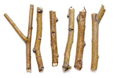 Beyaz arka planda yalıtılmış kuru dalları makro ağaçları. Bir dizi snags.