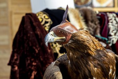 Kartal kuş şapkalı.