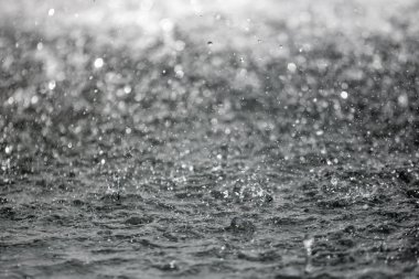 Bulanık arka plan ile arka planda sıçraması su büyük damla