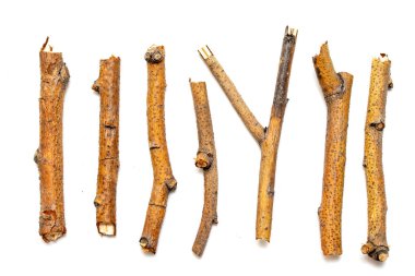 Beyaz arka planda yalıtılmış kuru dalları makro ağaçları. Bir dizi snags.