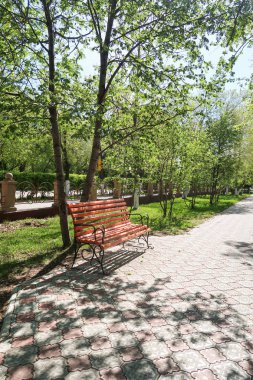 Tahta park tezgahı bahar manzarası.