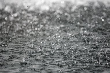 Bulanık arka plan ile arka planda sıçraması su büyük damla