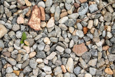 Yuvarlak deniz çakıl arka plan.