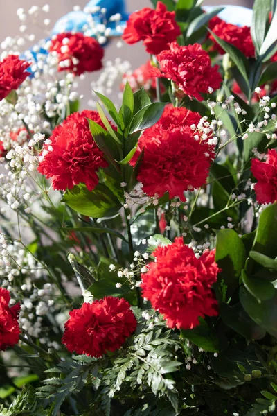 Червоні Квіти Гвоздики Чудовий Букет — стокове фото