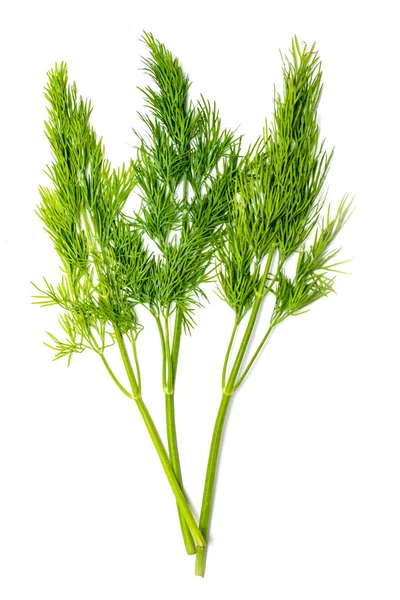 Dill Färsk Sallad Gröna Grenar Dill Isolerad Vit Bakgrund Vegansk — Stockfoto