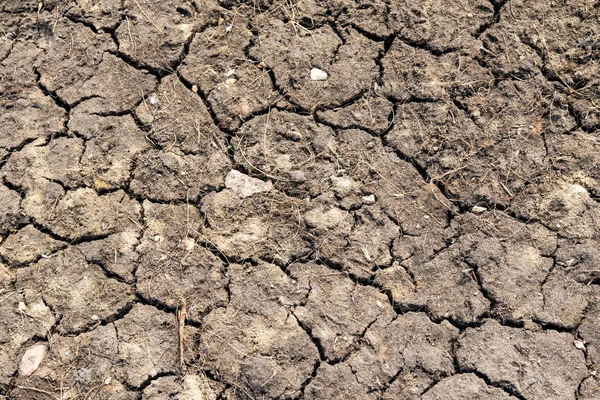 Grijze Achtergrond Van Gedroogde Gekraakte Aarde — Stockfoto