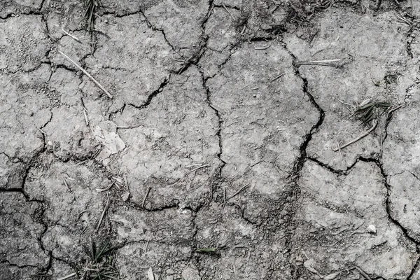 Achtergrond Gekraakte Aarde Zwarte Aarde Textuur — Stockfoto