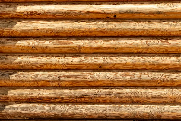 Hintergrund Baumstamm Wand Runde Holz Textur — Stockfoto