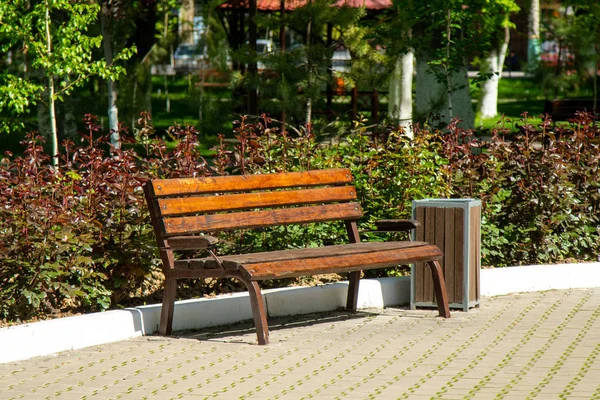 Wooden Bench Light Sun Summer Park — Stock Photo, Image