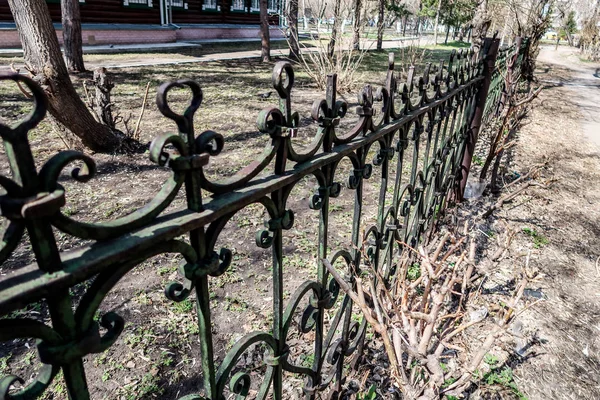 Metal Forged Fence View Distance Summer Nature — Stock Photo, Image