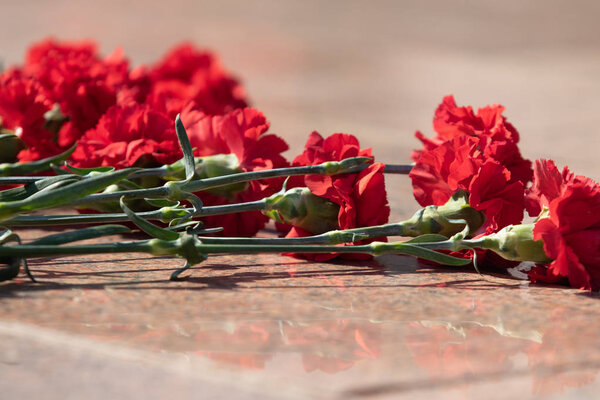 Красные гвоздичные цветы отличный букет
.