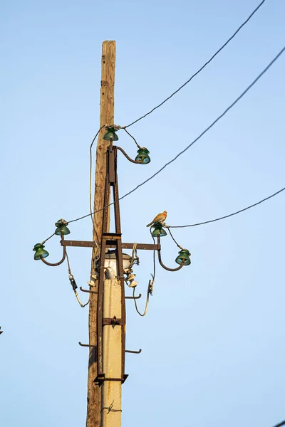 Eine Säule Mit Drähten Vor Blauem Himmel — Stockfoto