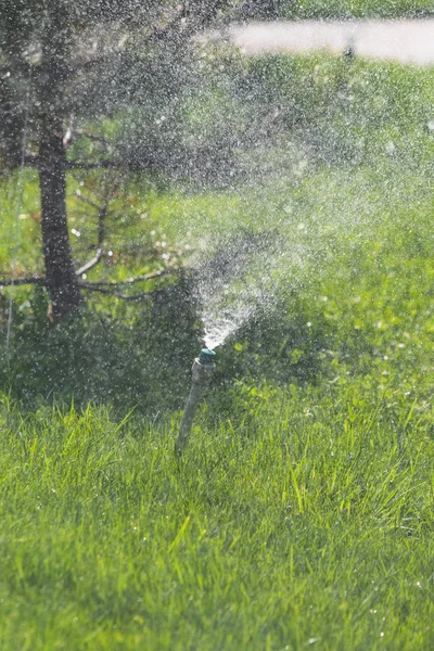 Système Irrigation Arrosage Herbe Verte Avec Fond Bokeh — Photo