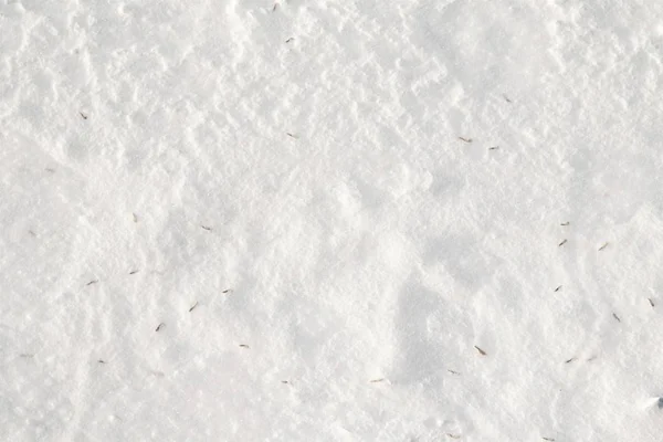 雪冬天背景 雪纹理的顶部视图 — 图库照片