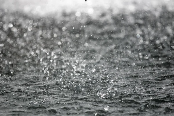 ぼやけた背景で背景を飛散する水の大きな滴 — ストック写真