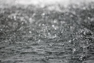 Bulanık arka plan ile arka planda sıçraması su büyük damla