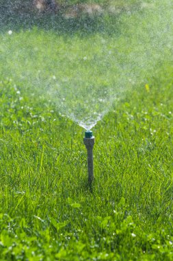 Sulama sistemi bokeh arka plan ile yeşil çim sulama.