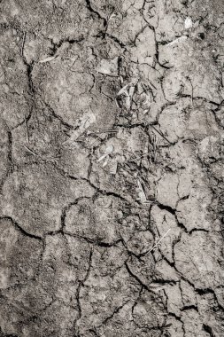 Arka plan kırık toprak, siyah toprak doku.